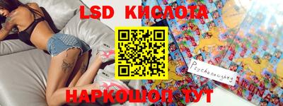 прущие грибы Краснодар