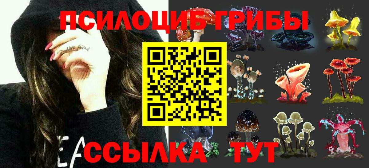 Чернушка  Псилоцибиновые грибы Cubensis  Вход с VPN  Псилоцибиновые грибы Psilocybe 